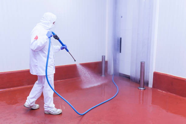 Best Solar Panel Cleaning  in Moravian Falls, NC