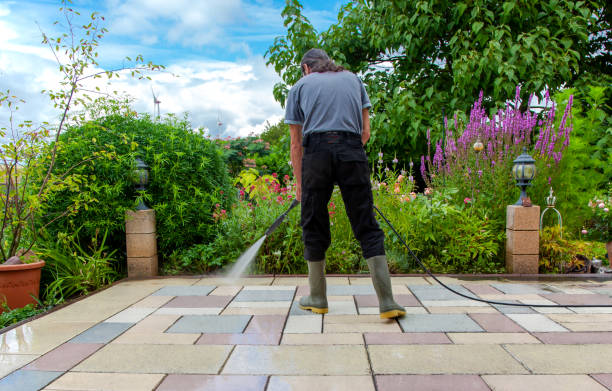 Best Animal Enclosure Cleaning  in Moravian Falls, NC